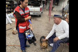 “Nenay”, una perra pastor alemán, resultó con quemaduras en el rostro al permanecer cerca del incendio mientras alertaba a su dueño, acción que permitió evitar una tragedia mayor en la colonia Del Río.