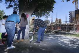 Vecinos de la colonia Jardín se organizaron para limpiar y proteger el entorno del nogal, que se ha convertido en un símbolo de la lucha ciudadana desde 2023.