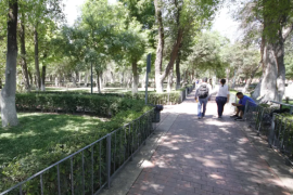 Integrantes de Transporte Digno Saltillo convocaron a ciudadanos a llevar agua y restos de café para nutrir áreas de la Alameda.