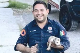Personal de Bomberos de Monclova realizó labores de excavación para rescatar a un cachorro que permanecía atrapado en un tubo de drenaje en la colonia Deportivo.