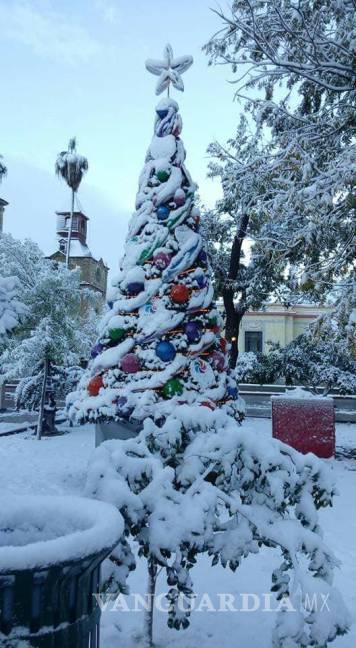 $!Nieve adorna al hermoso pueblo mágico de Cuatrociénegas (Fotos)