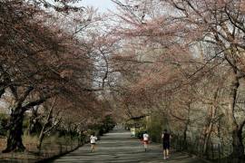 Central Park prohíbe la entrada de vehículos tras décadas de reivindicaciones