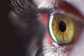 Crean un ojo artificial capaz de imitar la resolución de la visión humana