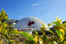 Peñoles tuvo un muy buen año en el mercado de valores durante 2025, sin embargo, en este año ha tenido minusvalías.