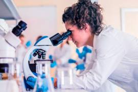 Coahuila se ubica entre los estados con mayor proporción de mujeres en estas áreas, junto con Querétaro.