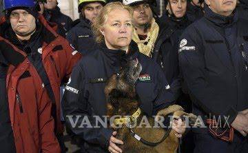$!Decenas de perros van a Turquía para apoyar en el rescate