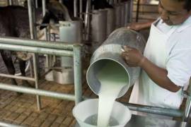 La primera capacitación se relacionará con la elaboración y proceso de productos lácteos.
