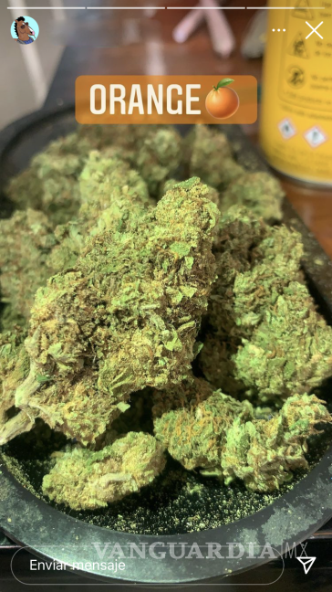 El arte y negocio de decorar pinos de Navidad persiste en Saltillo