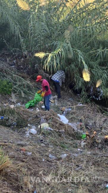 $!La acumulación de maleza y desechos era tan densa que impedía ver los costados del arroyo.