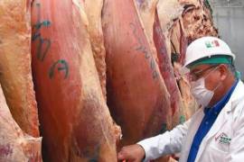 Decomisan 80 toneladas de carne contaminada en rastros de Gómez Palacio y Lerdo