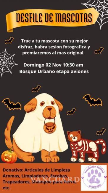 $!Saltillo: Fundación Patitas al Rescate invita a disfrutar teatro y desfile de mascotas con causa