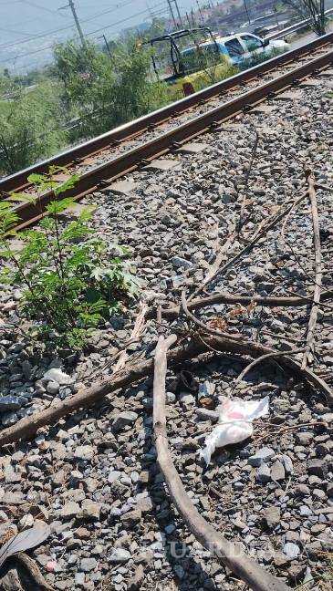 Detienen a hombre en Nuevo León por intentar sabotear paso de ‘La Emperatriz’