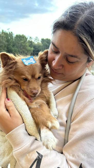 $!Dueños y mascotas se han unido a la esterilización, demostrando su compromiso con el bienestar animal