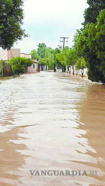 $!Reclaman drenaje pluvial en zona residencial de Saltillo