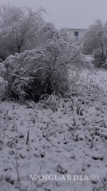$!Por segunda ocasión reportan intensa nevada en municipios del norte de Coahuila