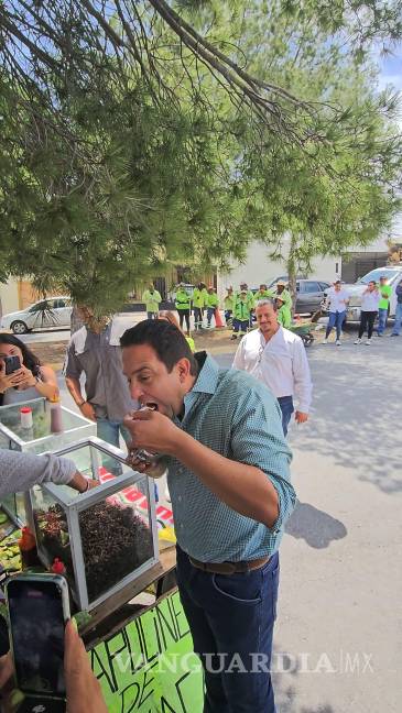 Chapulines y tunas en Saltillo: sabores del sur (Oaxaca) que conquistan el norte