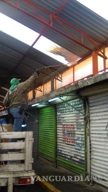 $!Continúa limpieza y ordenamiento del Mercado Alianza en Torreón