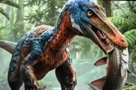 La UNAM celebró que este es un reconocimiento a su trayectoria científica y al trabajo pionero de la Universidad Nacional en el estudio de estos animales.
