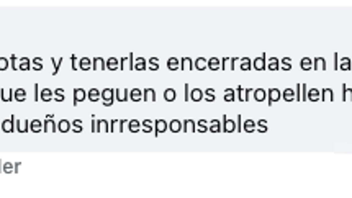 $!Tanya “N” opina sobre la responsabilidad de los dueños de mascotas y la necesidad de mantenerlos protegidos en casa para evitar ataques.