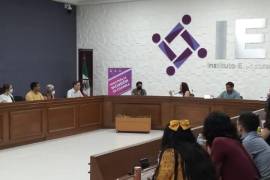 Organizaciones como el extinto Partido Joven enfrentaron dificultades para mantener su registro, marcando precedentes en el manejo de recursos públicos.