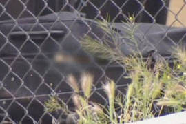 Hallan cadáver de mujer dentro de maleta abandonada en San Diego