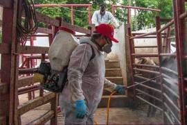 Sheinbaum Pardo indicó que el gobierno de Estados Unidos ha aportado recursos económicos para la construcción de la planta.