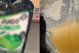 Tras implementar medidas de control y revisiones documentales, identificaron los más de 10 kilos de droga dentro de bolsas verdes con la leyenda “Jugo Limón”.