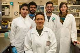 En el marco del Día Mundial Contra el Cáncer, científicos del IPN logran eliminar el virus del Papiloma Humano