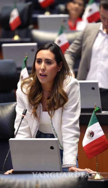 $!La senadora Cecilia Guadalupe Guadiana Mandujano compartió esta solicitud de un minuto de silencio en sus redes sociales.