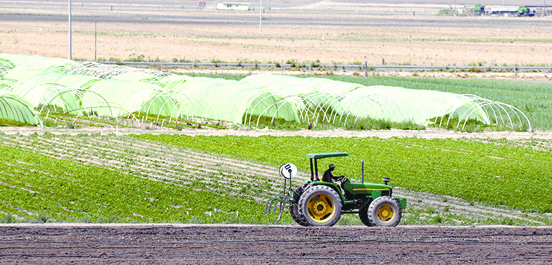 Ejerció Sagarpa 300 mdp en Coahuila este año