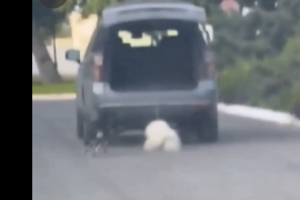 En las imágenes del video que circula en redes se observa a un perro siendo arrastrado por un vehículo durante un tramo.