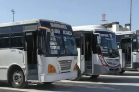 Autoridades y prestadores del servicio analizan las especificaciones técnicas para elegir los modelos que mejor atiendan la demanda de movilidad local.