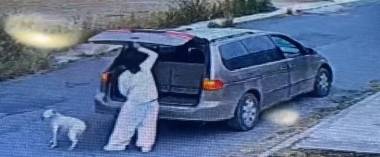 El video de una mujer abandonando un perrito en Paseo de Los Lobos al sur de Saltillo desató una alerta; ciudadanos buscan penas más severas para el maltrato animal.