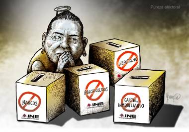 INE: Pureza electoral