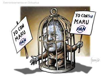 Desmantelamientos en Chihuahua