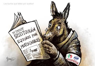 Los burros que faltan por sustituir