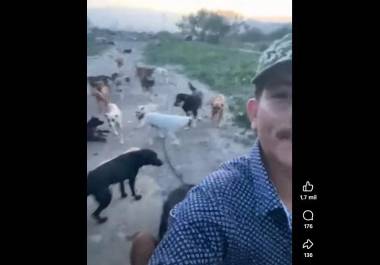 Daniel Martínez, responsable del refugio pidió apoyo al Gobierno Municipal para atender las necesidades de los perros rescatados.