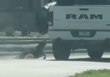 Caso de perro arrastrado por una camioneta llega al Ministerio Público en Acuña, Coahuila.