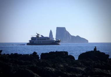 La decisión de Ecuador de crear el Parque Nacional Galápagos en 1959 ha preservado un archipiélago con algunos de los niveles más altos de endemismo, o especies que no se encuentran en ningún otro lugar.