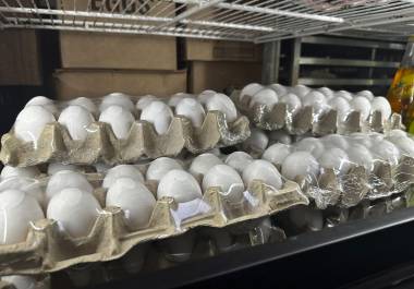 La empresa Midwest Poultry Services ha retirado del mercado aproximadamente 1.5 millones de docenas de huevos blancos y marrones producidos en Texas, Estados Unidos.