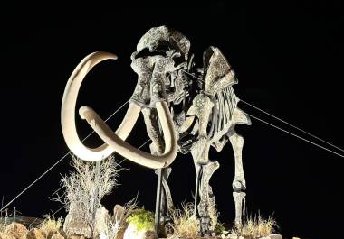 El majestuoso Mamut Colombino en el parque Mina de Mármol, Cuatro Ciénegas, se erige como una pieza única que cautiva a los visitantes.