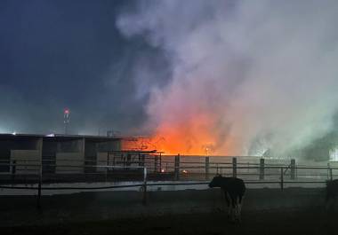 En lo que va del año, las autoridades han detenido a seis personas por su presunta responsabilidad en incendios ocurridos en Saltillo.