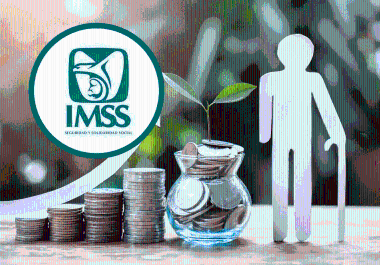 Las personas aseguradas que sufran un accidente o enfermedad relacionada con su trabajo y queden con una incapacidad permanente pueden solicitar una pensión ante el IMSS.