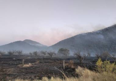 La Comisión Nacional Forestal (CNF) reportó 357 combatientes activos en los incendios de El Tunal y Múzquiz.