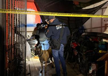 Durante el operativo, binomios caninos K9 apoyaron en la detección de droga al interior de la vivienda inspeccionada en Saltillo.