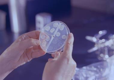 Coahuila reportó 34 casos de sífilis adquirida, situándose en niveles similares a otros estados con incidencia intermedia.