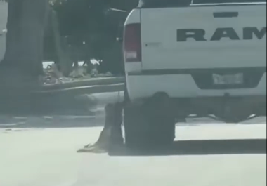 El video de un hombre que aparentemente arrastra a un perro generó indignación en redes sociales de Acuña, Coahuila.