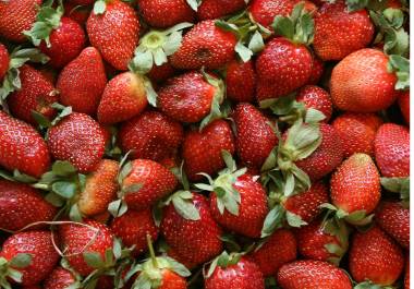 Si se confirma el margen preliminar, los gravámenes podrían comenzar a cobrarse a finales de junio de 2026, afectando la competitividad de exportación agrícola de México.