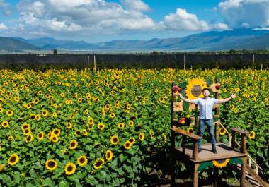 Campos de girasoles y nuevas atracciones fortalecen el turismo rural en la sierra de Arteaga.