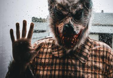 Tras sufrir una alteración cerebral la vida mental de algunas personas “se vio desagradablemente enriquecida” al sentir que su cuerpo pertenecía a un animal de otra especie, como por ejemplo un lobo.